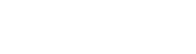 Sleemz DE